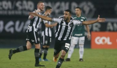 Botafogo vence Palmeiras no Brasileiro-atosbrasilia